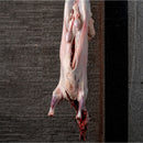 نصف ذبيحة عربي